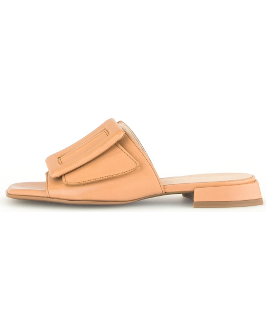 Chaussures Carel