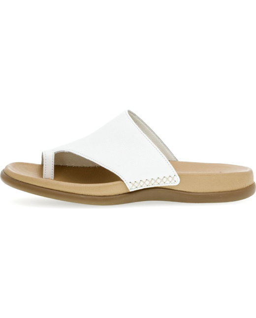 Chaussures Carel